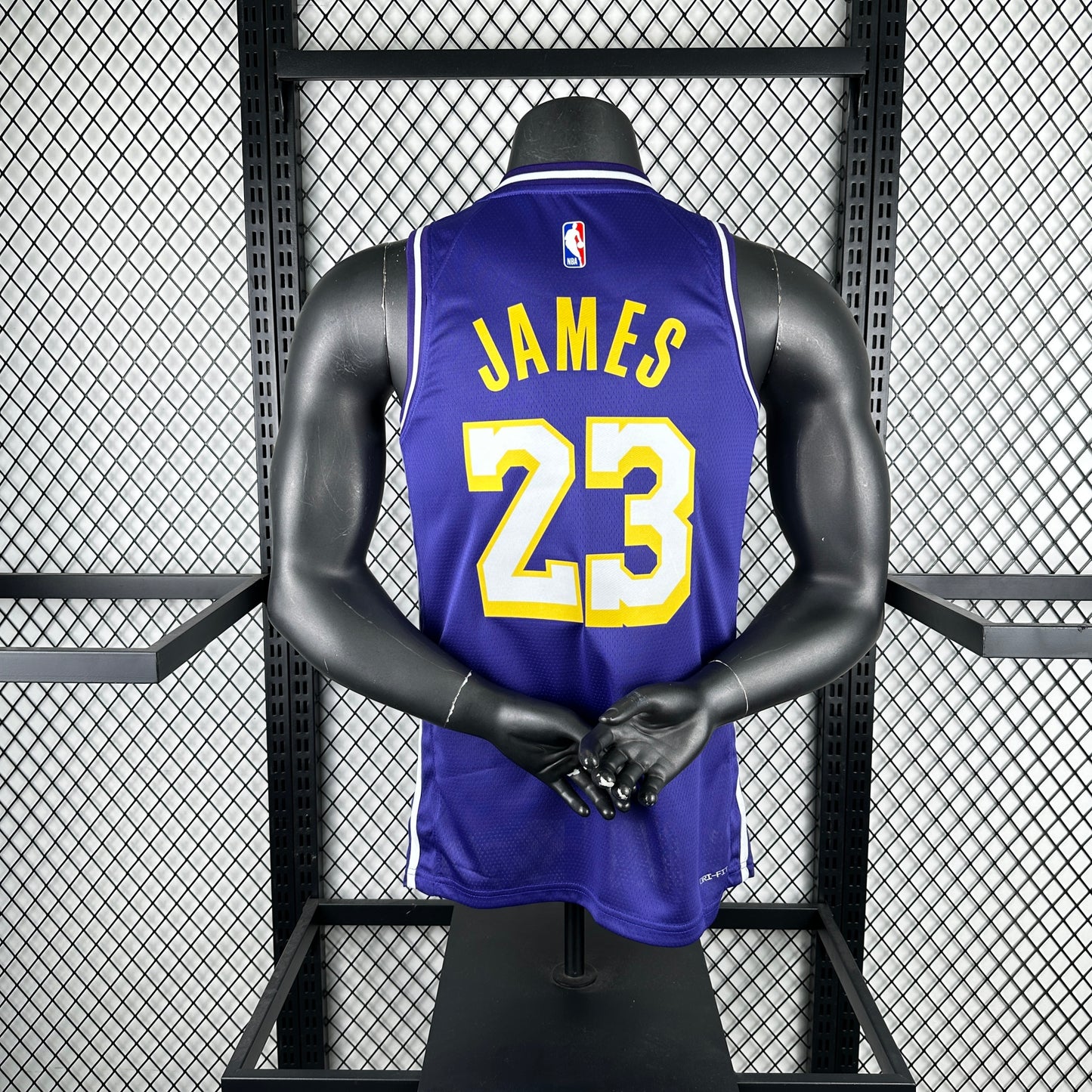 26 season Lakers flying limited N.23